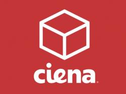  ciena-q3-earnings-revenue-and-eps-beat-operating-margin-decline-cfo-retirement-and-more 