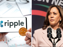  ripple-co-founder-backs-kamala-harris-while-crypto-regulatory-debates-continue 