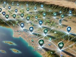  nasdaq-listed-cannabis-giant-misses-tech-rally-what-investors-need-to-know-about-maps-stock 