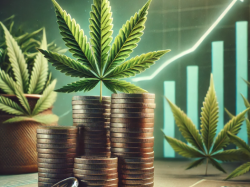  cannabis-company-terrascend-secures-second-and-final-26m-loan-reduces-debt-in-michigan 