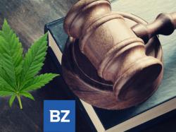 미국 의회 CBD 규제안 `획기적`... 헴프 연합 `오래 기다려온 일` 환영