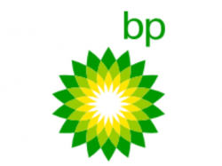 BP, 실적 부진과 부채 증가로 목표주가 하향조정 직면