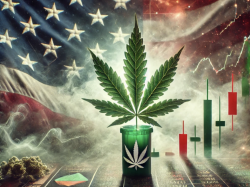  trump-harris-and-cannabis-stocks-are-election-results-already-priced-in 