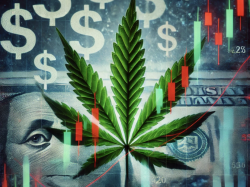 cannabis-stocks-plunged-after-florida-legalization-failed-rational-reaction-or-market-overreach