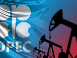 OPEC, 中경기 둔화로 2024년 석유수요 전망 4개월 연속 하향... 유가 18% 하락