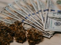 독일에서 66% 매출 신장, IM Cannabis Q3 EBITDA 손실 축소