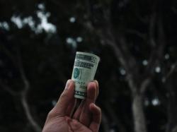 cannabis-co-vireo-reports-2-yoy-revenue-growth-secures-10m-in-financing