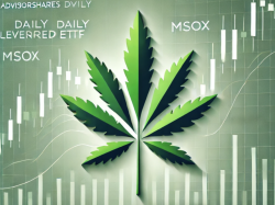 MSOS 데일리 레버리지 ETF, 내달 주식병합 예고... 20대 1 1되면서 주가 20배로