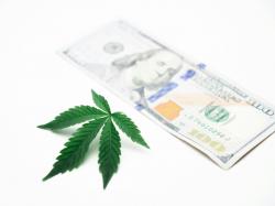  canadian-cannabis-co-decibel-reports-12-yoy-drop-in-q3-revenue-but-increases-gross-margin-to-53 