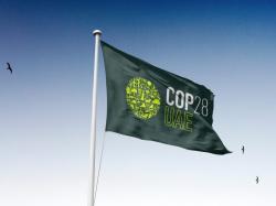 COP29, 기후변화 대응에 연간 3000억 달러 지원... "보잘것없는 액수" 비난 쇄도