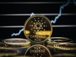 카다노 가격 24시간 만에 4.5% 상승... 상승 배경은?
