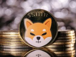  shiba-inu-soars-to-eight-month-high-up-13-as-meme-coins-rally 