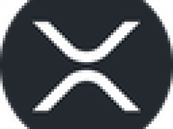 내가 선택한 5대 암호화폐... XRP·XDC·QNT·POL·ADA의 분석
