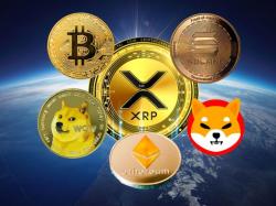 2025년 비트코인, 이더리움, 도지코인, 시바이누, 솔라나 중 XRP 압도할 코인은... 설문조사 결과 `이것`