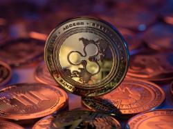 XRP 가격 폭등... 리플 RLUSD 스테이블코인 승인에 20% 급등해 2.43달러 기록