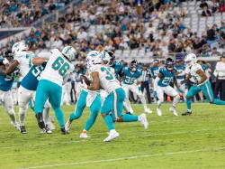 마이애미 돌핀스 지분 투자 개방... NFL 팬들도 팀 소유주 될 수 있어