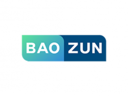  why-is-baozun-stock-trading-lower-today 