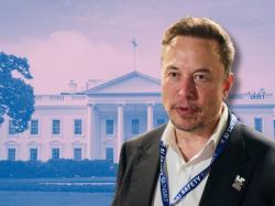  elon-musk-reacts-as-gop-house-judiciary-says-biden-administration-is-flying-migrants-into-us 