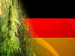  german-lawmakers-eager-to-see-phase-2-of-cannabis-legalization-weed-giant-curaleaf-considers-listing-in-frankfurt 