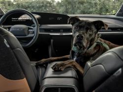  lucid-introduces-creature-comfort-mode-to-rival-teslas-dog-mode-for-pets 