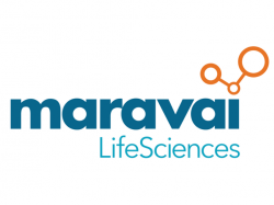  small-cap-maravai-lifesciences-q4-outperforms-expectations-analyst-shows-optimism-around-2024-guidance 