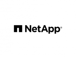  why-is-netapp-stock-shooting-higher-today 