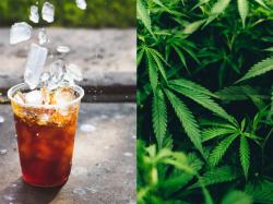  tilray-expands-weed-drink-selection-heres-what-riff-brand-has-in-store-for-cannaseurs 
