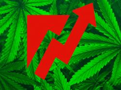  former-nbc-exec-brings-marijuana-brands-to-life-terrascends-bj-carretta-shares-tips-at-california-cannabis-event 