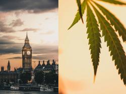  uk-medical-cannabis-market-gets-boost-with-aurora-and-script-assist-collaboration 