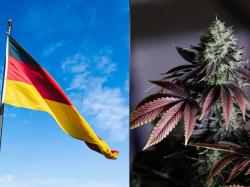  weed-legalization-in-germany-just-took-effect-heres-what-you-need-to-know 