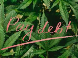  aurora-cannabis-bounces-back-debt-paid-growth-ahead 