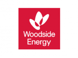  whats-going-on-woodside-energy-shares-premarket-friday 