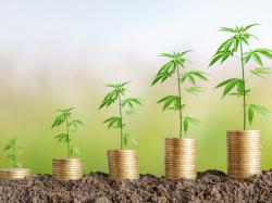  marijuana-company-cronos-reduces-fy23-net-loss-as-it-utilizes-global-expansion 