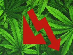  heritage-cannabis-stock-plunges-on-announcing-creditor-protection-looks-to-pursue-restructuring-and-sales-process 