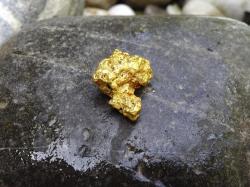  mining-executives-weigh-in-on-gold-prices-financing-projects-were-definitely-glad 