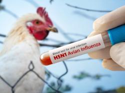 美서 첫 H5N1 관련 사망자 발생에 백신株 급등... 주목할만한 ETF는