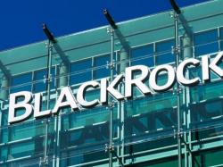 BlackRock "비트코인 도입은 아직 초기 단계" 발언