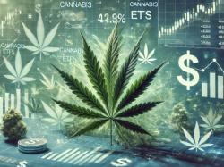 美 대마초 ETF 변화...앰플리파이ETF, 미국 익스포저 확대 위해 펀드 개편