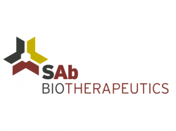 SAB BIO 주가 화요일 하락… 관련주 투자자 `눈물`