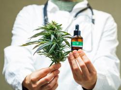 FDA, 20년 만에 첫 비오피오이드계 진통제 승인... 의료용 대마초와 더불어 통증 관리 대안 부상