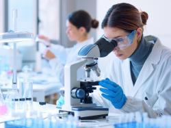 HCW바이오로직스, 탈모치료제 FDA 임상1상 승인에 주가 급등