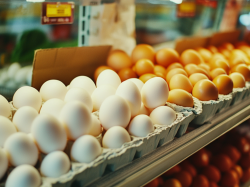 etfs-benefit-from-egg-straordinary-surge-in-grocery-prices