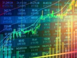 알리바바 8% 급등, 월마트 6.5% 급락...테슬라·리비안 등 美 핵심주 주가 동향