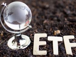 터치스톤, 글로벌 성장 겨냥한 TLCI ETF 출시