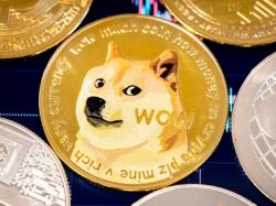 머스크 `도지코인 정부 활용설` 일축..."DOGE 부서와 전혀 다른 것"