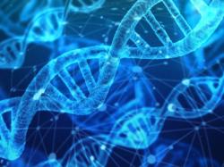 응용<span class='font-color02'>DNA</span>사이언스, 치료 안전성 사전 검사 서비스로 주가 6% 상승