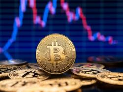 플로리다주 비트코인 준비금 법안 통과에 BTC 8만3000달러 돌파