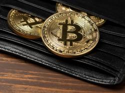 `비트코인 사인맨` 8년전 BTC 열풍 상징됐는데...현 시장에도 `매수 신호` 유효한가