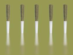  why-pre-rolls-are-cannabis-most-profitable-format-from-california-to-canada 