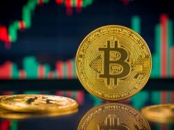 비트코인·이더리움·도지코인 하락세...윌리 우 `모든 하락은 매수 기회, BTC 사상 최고가 노린다`